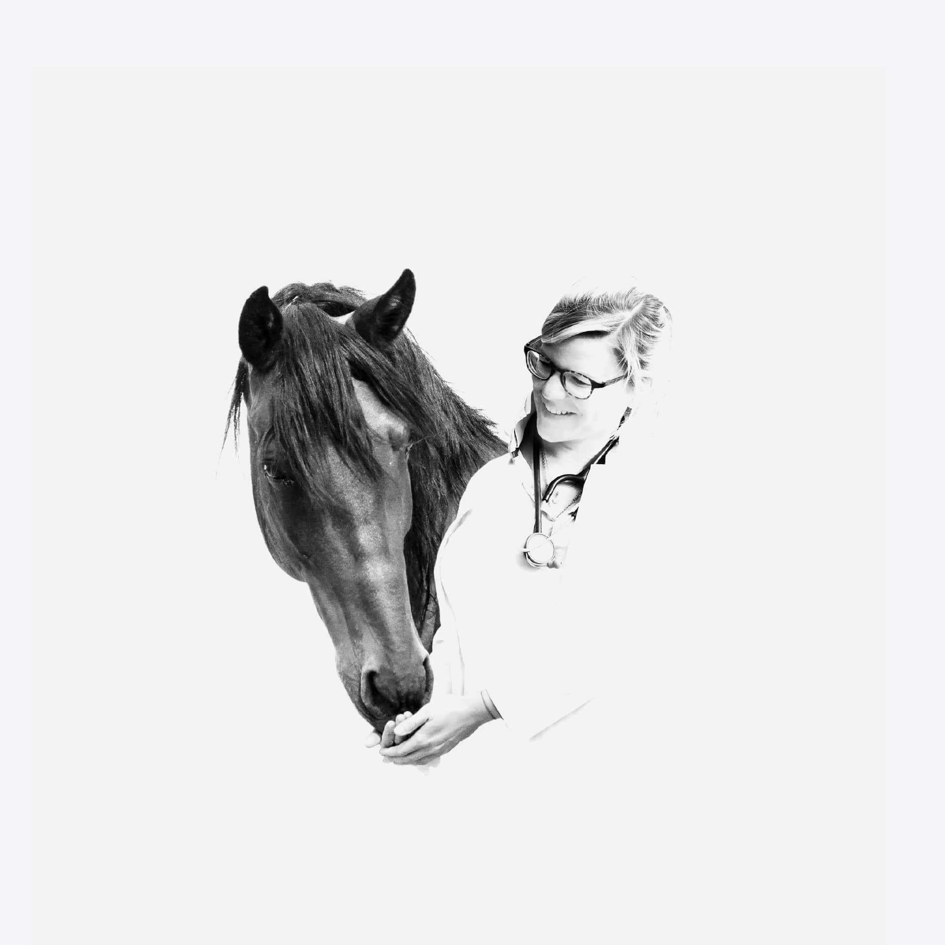 Dr. med. vet., Theresa Bockhorni