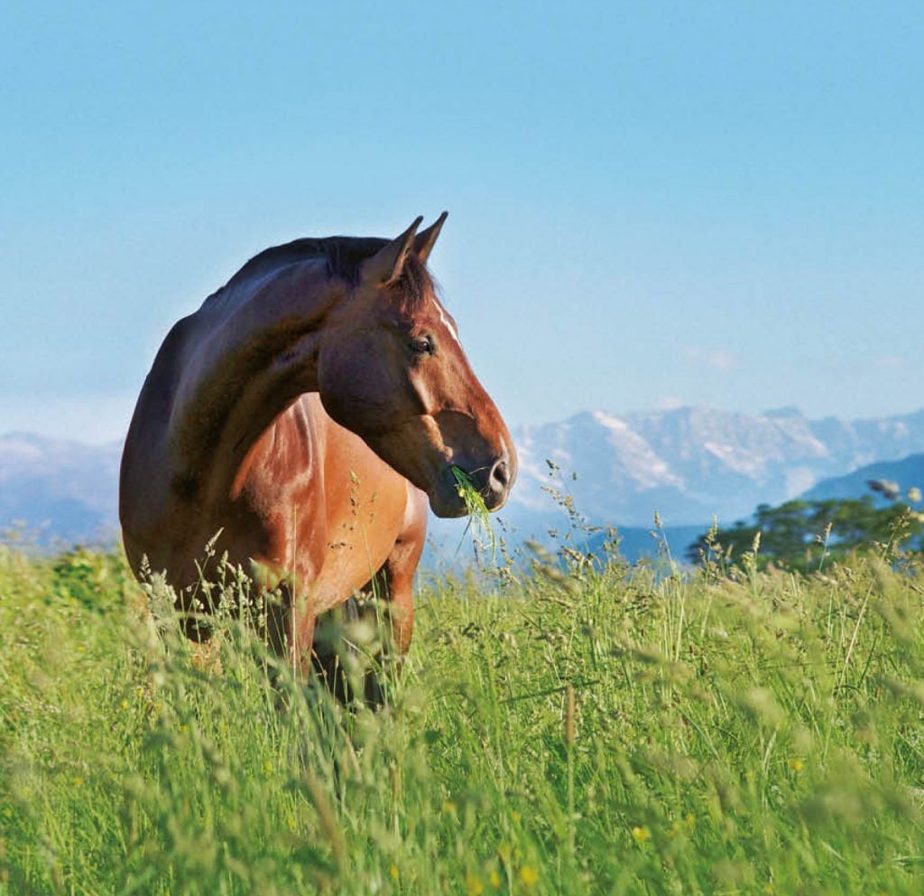 Artwerk Murnau — Projekt 6